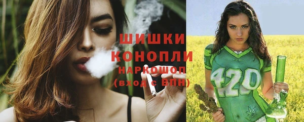 эйфоретик Грязовец