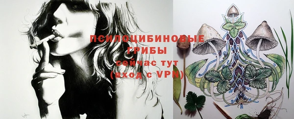 винт Богородицк