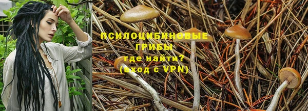 кокаин колумбия Богданович