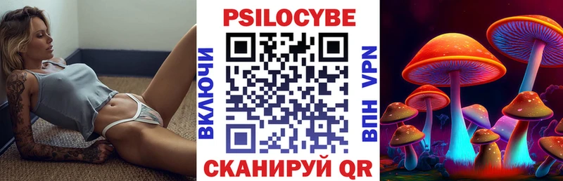 сколько стоит  Купино  Псилоцибиновые грибы MAGIC MUSHROOMS 
